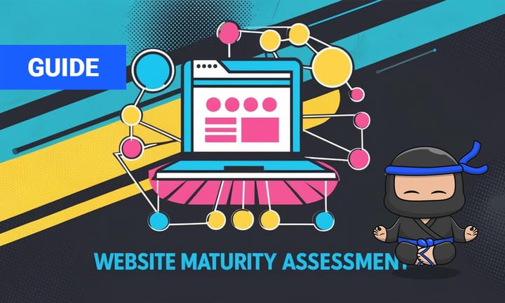 website maturity assessment